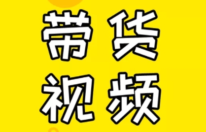 芒果老师·教你做抖音短视频和直播带货-89网创