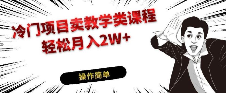 冷门项目卖教学类课程，轻松月入2W+-89网创