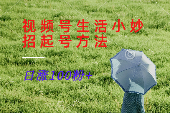 视频号生活小妙招分享赛道， 起号涨粉新方法，日涨100粉-89网创