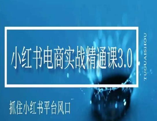 小红书电商实战精通课3.0，抓住小红书平台的风口，不错过有一个赚钱的机会-89网创