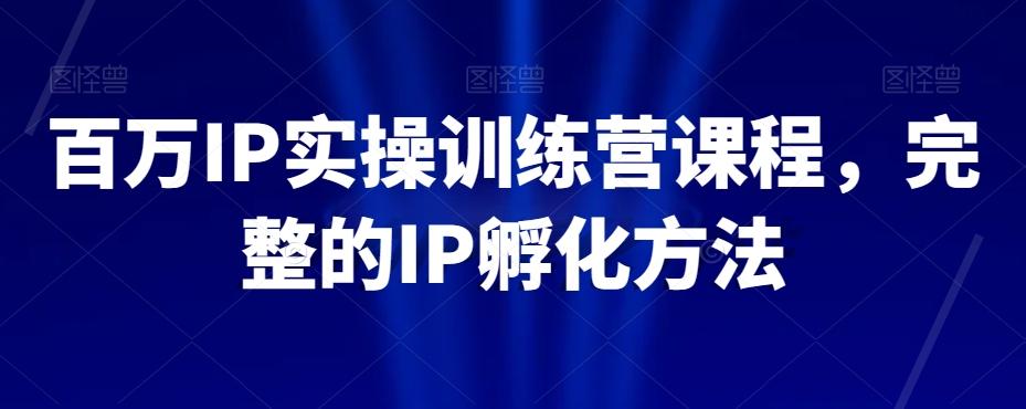 百万IP实操训练营课程，完整的IP孵化方法-89网创
