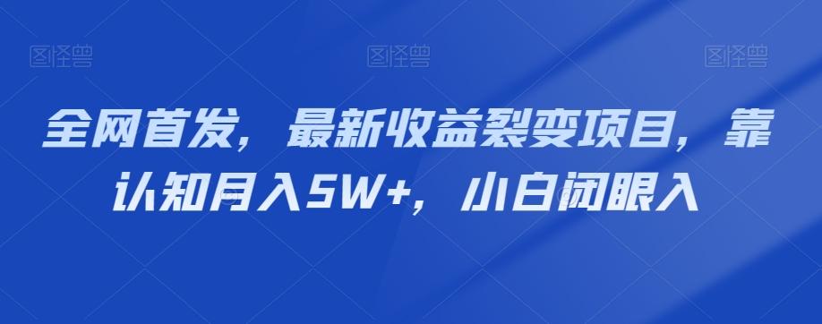 全网首发，最新收益裂变项目，靠认知月入5W+，小白闭眼入-89网创