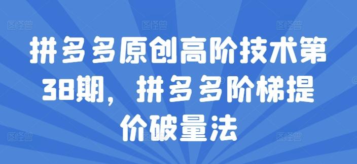 拼多多原创高阶技术第38期，拼多多阶梯提价破量法-89网创