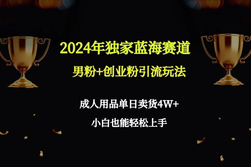 2024年独家蓝海赛道男粉+创业粉引流玩法，成人用品单日卖货4W+保姆教程-89网创