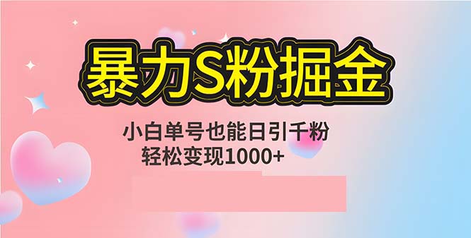 单人单机日引千粉，变现1000+，S粉流量掘金计划攻略-89网创