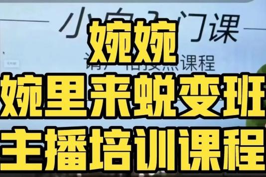 婉婉·婉里来蜕变班（主播课）全方位理解底层逻辑并灵活运用-89网创