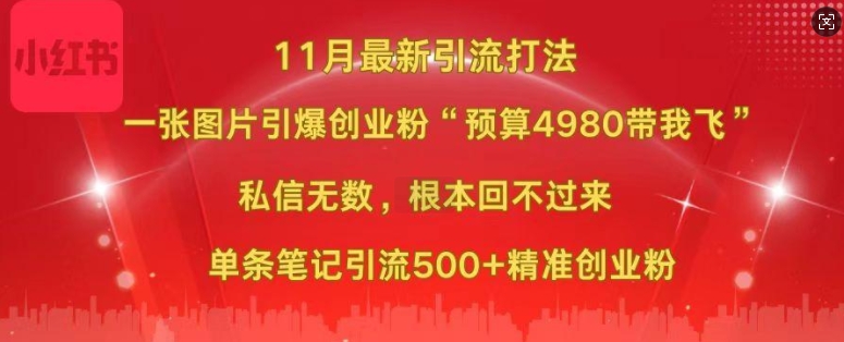 小红书11月最新图片打粉，一张图片引爆创业粉，“预算4980带我飞”，单条引流500+精准创业粉-89网创