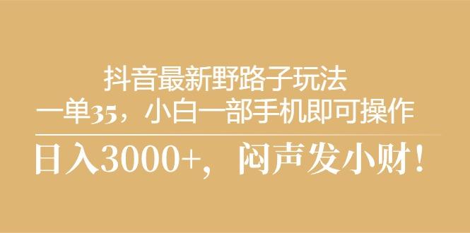 抖音最新野路子玩法，一单35，小白一部手机即可操作，，日入3000+，闷…-89网创