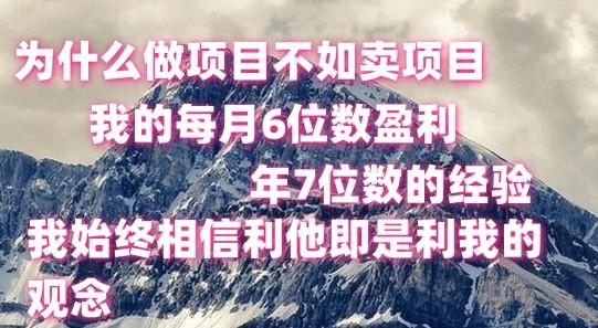 做项目不如卖项目，每月6位数盈利，年7位数经验-89网创