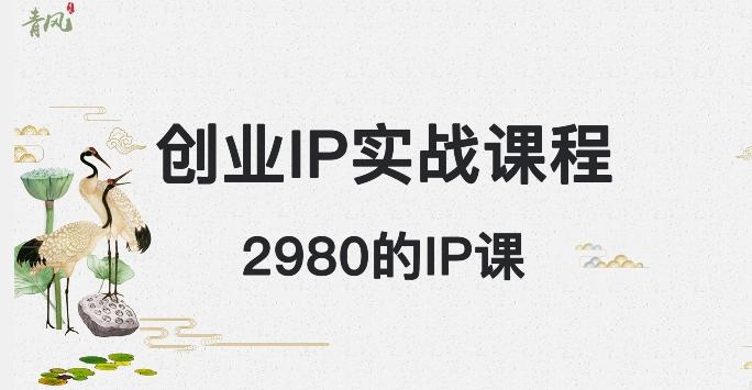 外边卖2980的创业IP课程，做私域月入5w+-89网创