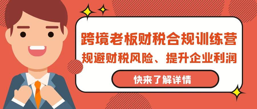 (9838期)跨境老板-财税合规训练营，规避财税风险、提升企业利润-89网创