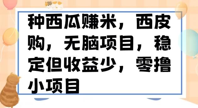 种西瓜赚米，西皮购稳定长久零撸小项目-89网创