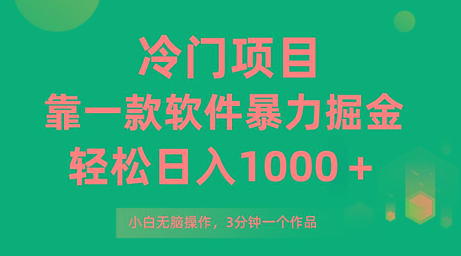 (9791期)冷门项目，靠一款软件暴力掘金日入1000＋，小白轻松上手第二天见收益-89网创