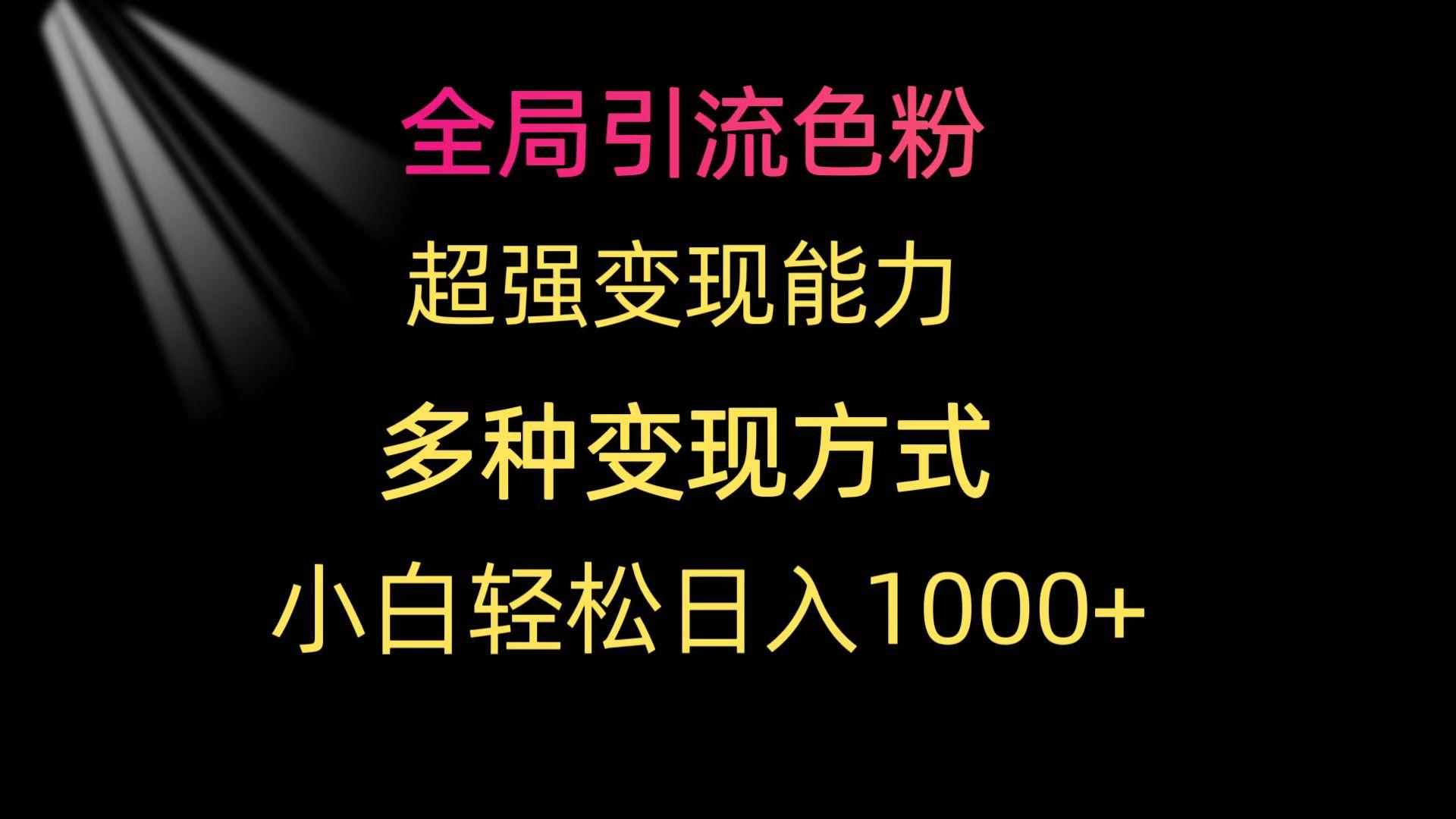 (9680期)全局引流色粉 超强变现能力 多种变现方式 小白轻松日入1000+-89网创