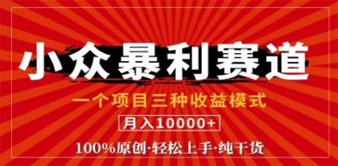视频号最新爆火赛道，三种可收益模式，0粉新号条条原创条条热门 日入1000+-89网创
