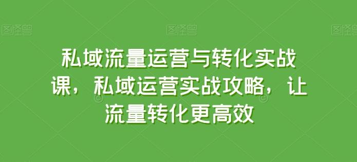私域流量运营与转化实战课，私域运营实战攻略，让流量转化更高效-89网创