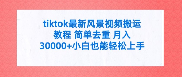 tiktok最新风景视频搬运教程 简单去重 月入3W+小白也能轻松上手【揭秘】-89网创