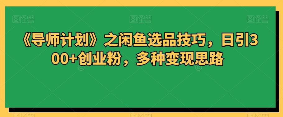 《导师计划》之闲鱼选品技巧，日引300+创业粉，多种变现思路-89网创