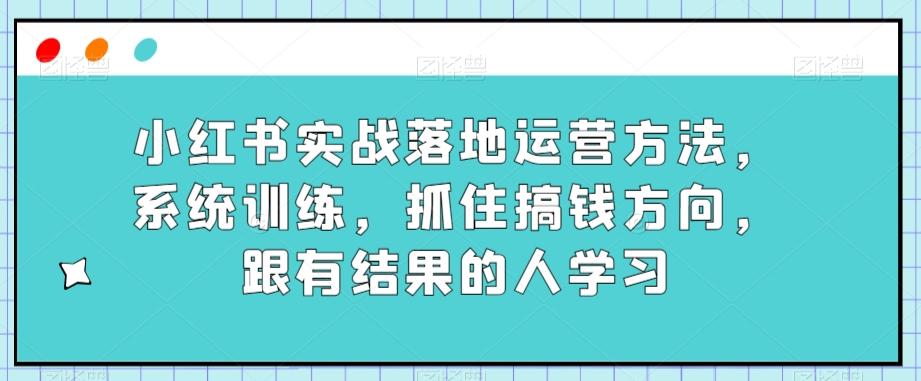 小红书实战落地运营方法，系统训练，抓住搞钱方向，跟有结果的人学习-89网创