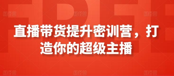 直播带货提升密训营，打造你的超级主播-89网创
