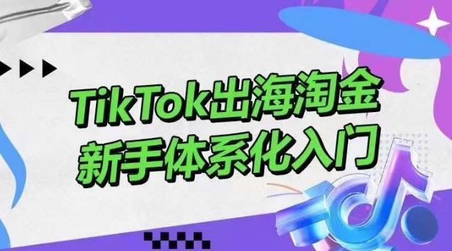 TikTok出海淘金，新手体系化入门，零基础快速入门，掌握短视频、直播带货等引流到变现的知识-89网创