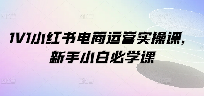 1V1小红书电商运营实操课，新手小白必学课-89网创