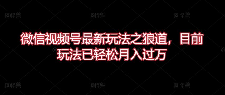 微信视频号最新玩法之狼道，目前玩法已轻松月入过万【揭秘】-89网创