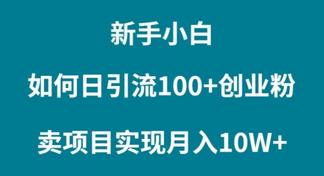 (9556期)新手小白如何通过卖项目实现月入10W+-89网创
