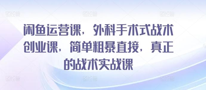 闲鱼运营课，外科手术式战术创业课，简单粗暴直接，真正的战术实战课-89网创