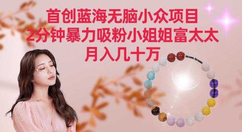 首创蓝海无脑小众项目，2分钟暴力吸粉小姐姐富太太，月入几十万【揭秘】-89网创