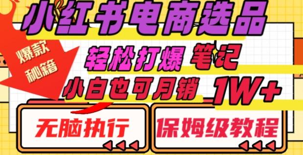 小红书电商爆款选品秘籍，帮你轻松打爆笔记，小白也可轻松月销10000+-89网创