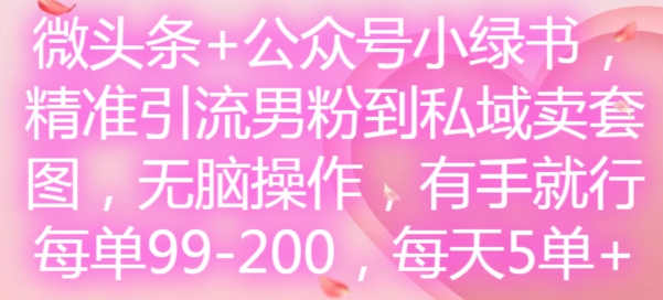 微头条+公众号小绿书，精准引流男粉到私域卖套图，无脑操作，有手就行，每单99-200，每天5单-89网创