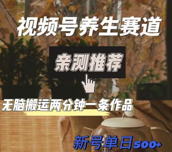 视频号养生赛道暴力掘金，无脑搬运，两分钟一条作品-新日单入500+-89网创