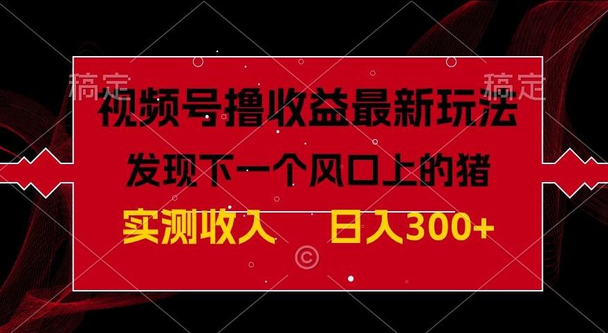 视频号分成计划最新玩法，单条作品几分钟制作完成,日入300+，过年前最后的冲刺-89网创