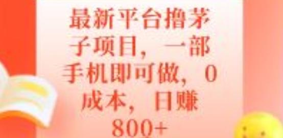 最新平台撸茅子项目，一部手机即可做，0成本，日赚800+-89网创