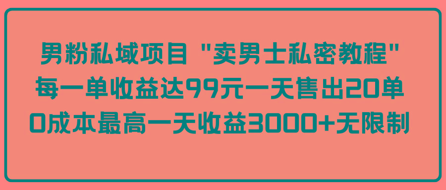 (9730期)男粉私域项目 “卖男士私密教程” 每一单收益达99元一天售出20单-89网创