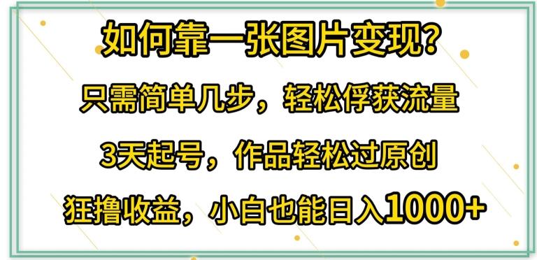 如何靠一张图片变现?只需简单几步，轻松俘获流量，3天起号，作品轻松过原创【揭秘】-89网创