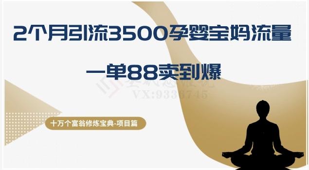 十万个富翁修炼宝典之13.2个月引流3500孕婴宝妈流量，一单88卖到爆-89网创