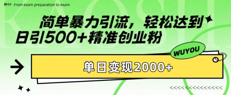简单暴力引流，轻松达到日引500+精准创业粉，单日变现2k【揭秘】-89网创