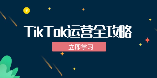 TikTok实战运营全攻略：从下载软件到变现，抖音海外版实操教程-89网创