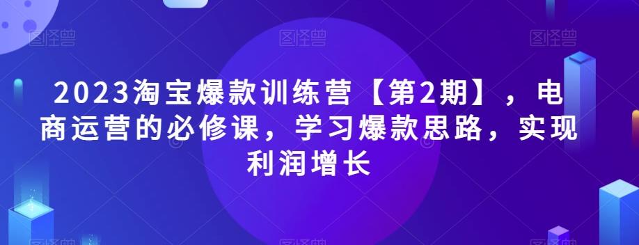 2023淘宝爆款训练营【第2期】，电商运营的必修课，学习爆款思路，实现利润增长-89网创