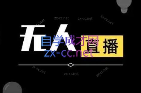 宝子哥·无人直播-非实时防风技术(更新8月)-89网创
