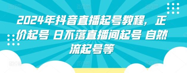 2024年抖音直播起号教程，正价起号 日不落直播间起号 自然流起号等-89网创
