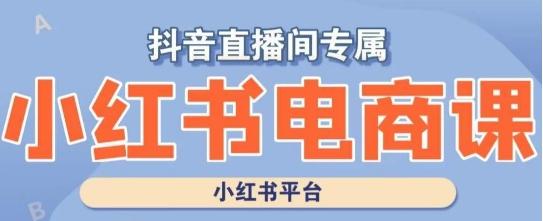 小红书电商高级运营课程，实操教学+案例分析-89网创