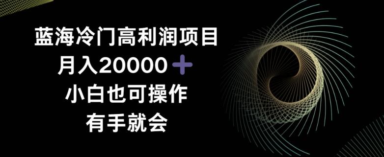 蓝海冷门高利润项目月入2000，小白也可操作有手就会-89网创