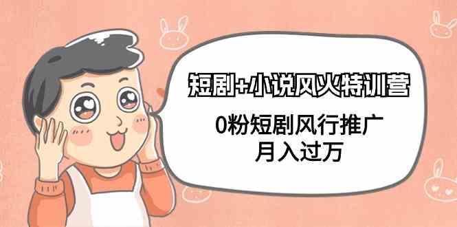 小说+短剧风火特训营，0粉短剧小说风行推广，实现月入过万-89网创