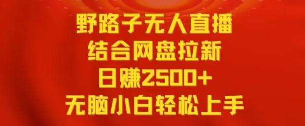 野路子无人直播结合网盘拉新，日赚2500+，小白无脑轻松上手【揭秘】-89网创